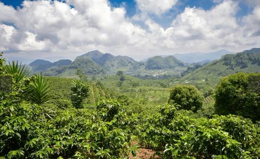 Honduras - La Paz