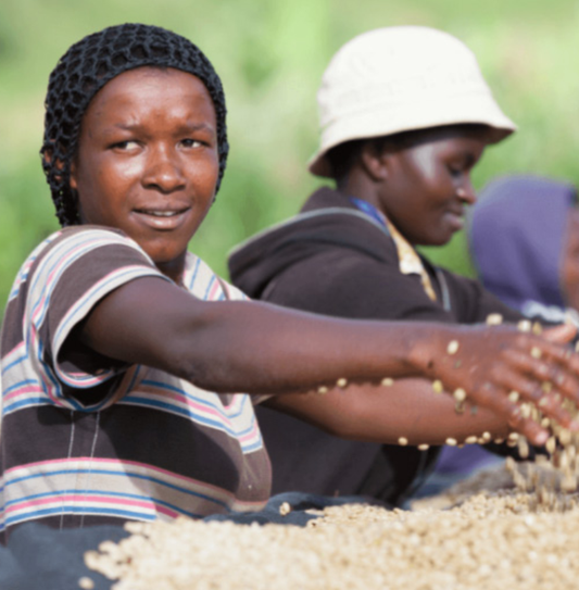 Ruanda - Café des Mamans