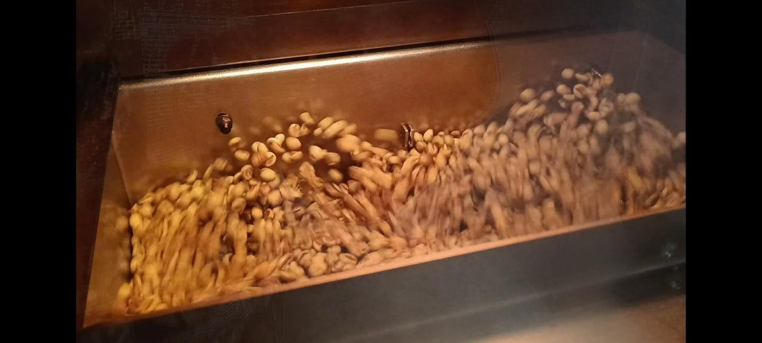 Tueste de café por convección