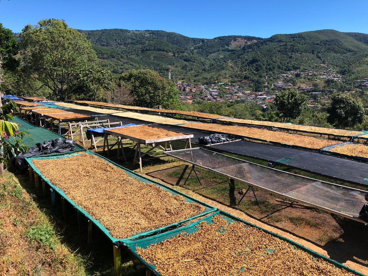 Café de origen Costa Rica Juanachute