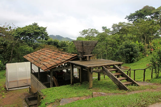 Nicaragua - San Juan de Río Coco