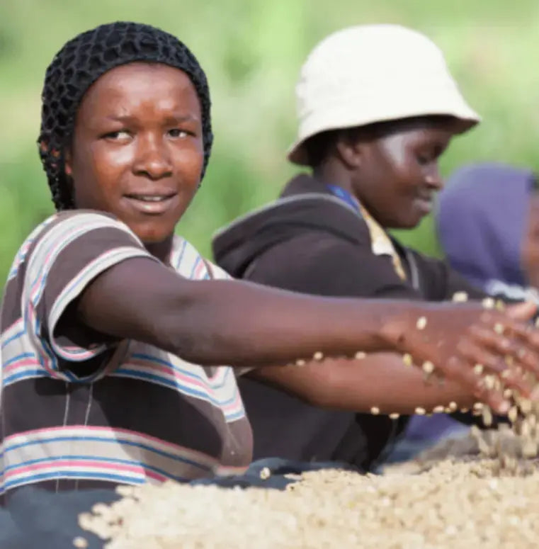 Ruanda - Café des Mamans - Orígenes. Cafés de especialidad.