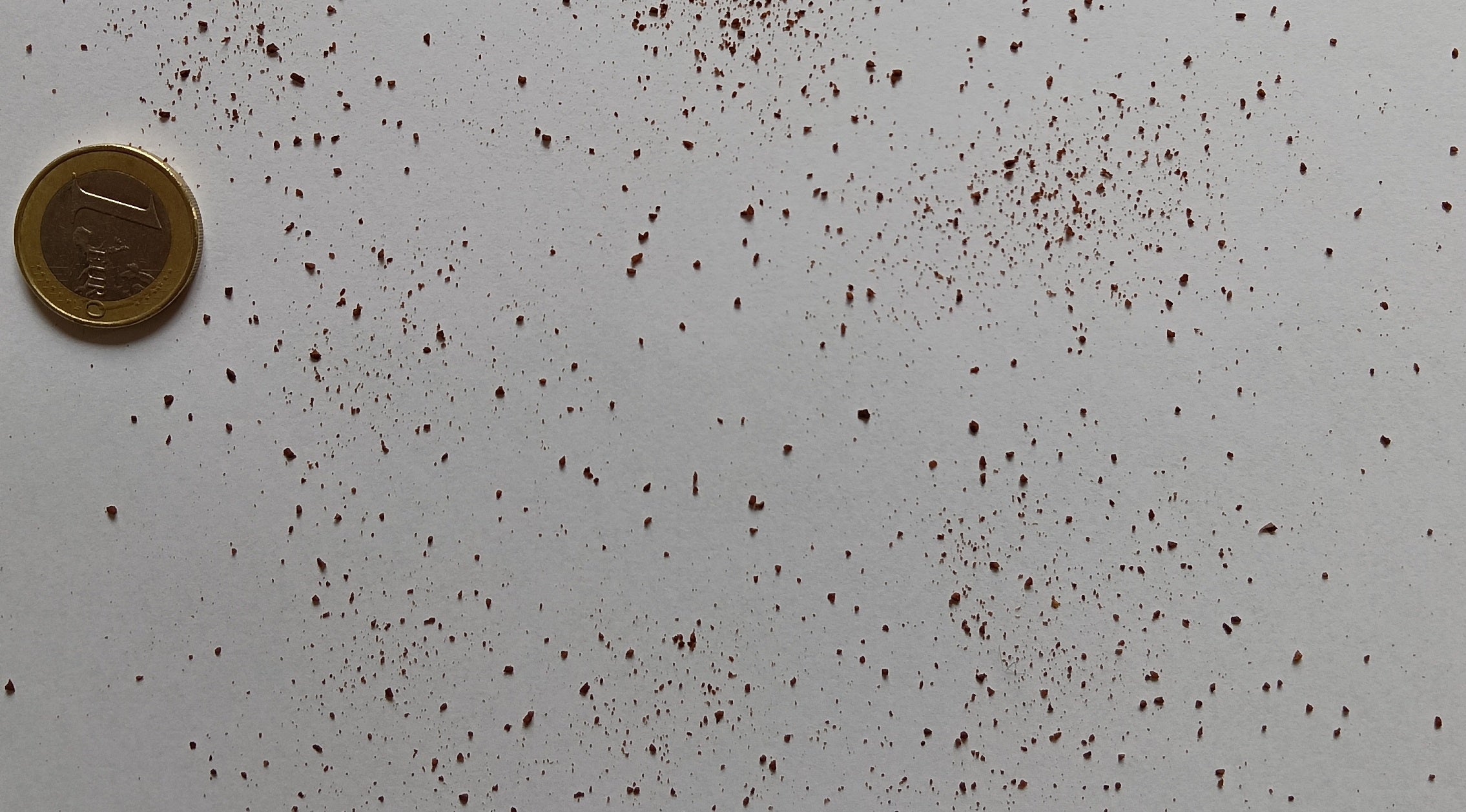 Granos de café molido sobre fondo blanco