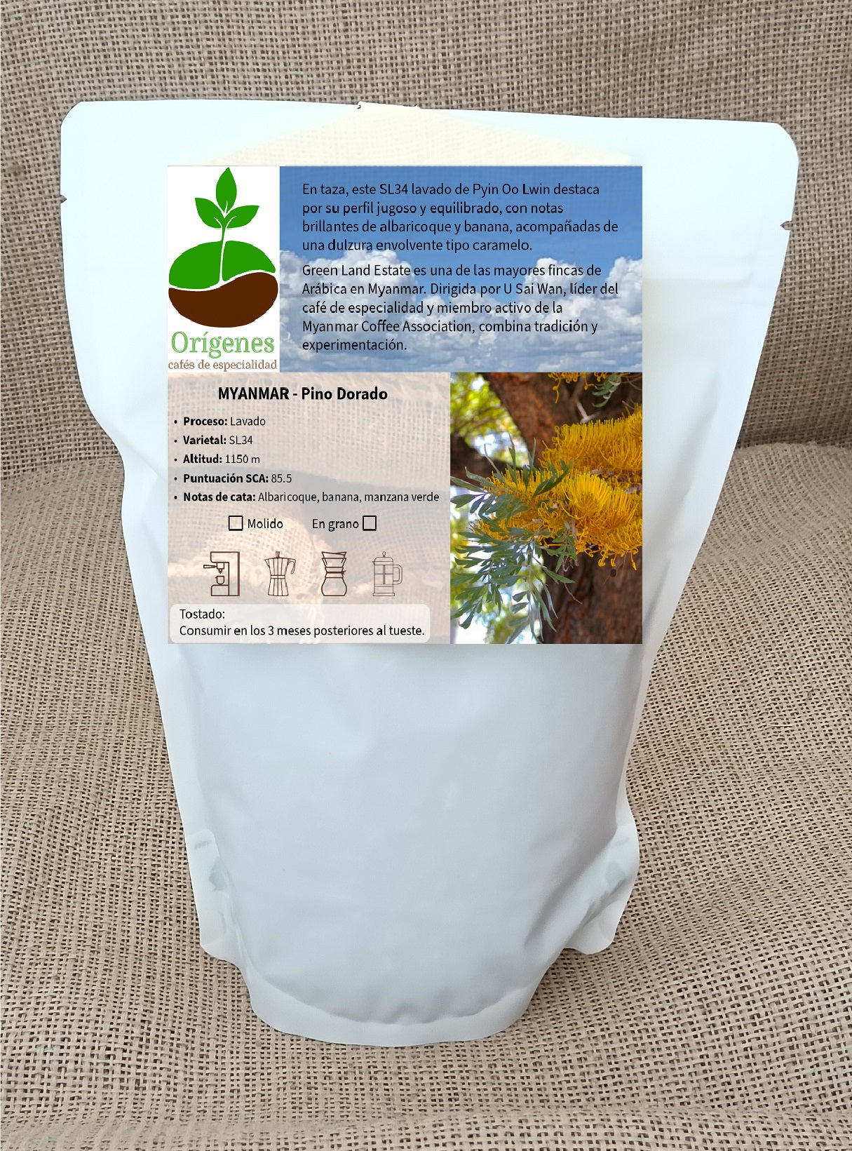 Bolsa de café de Myanmar Pino Dorado