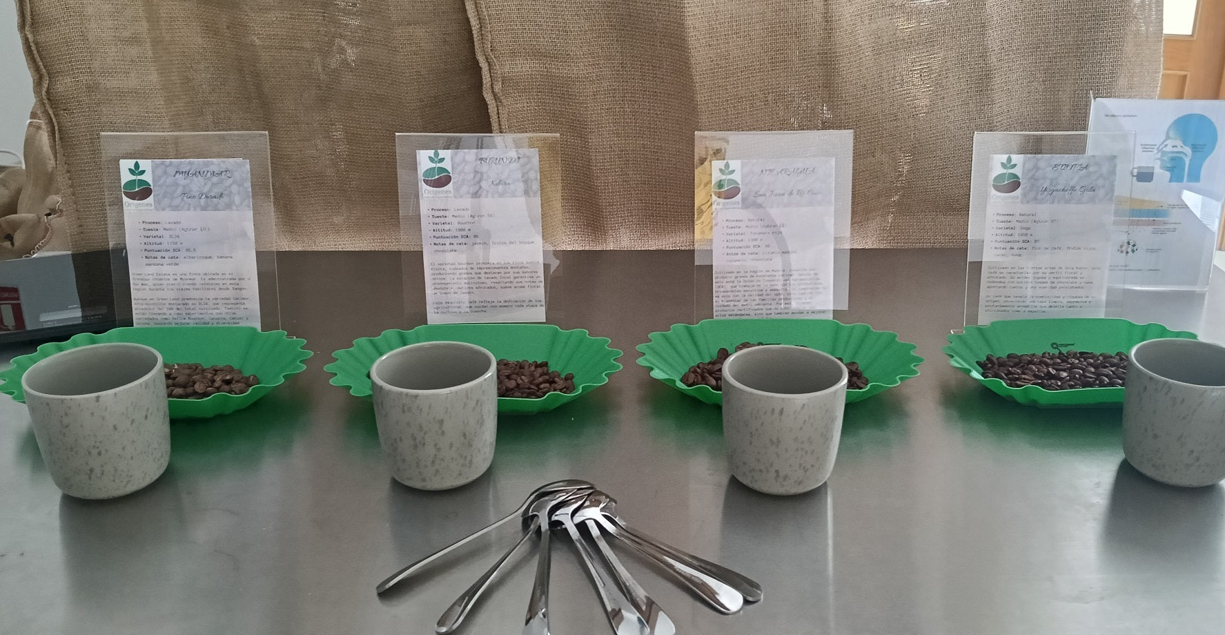 Presentación en PCI Pharma 4