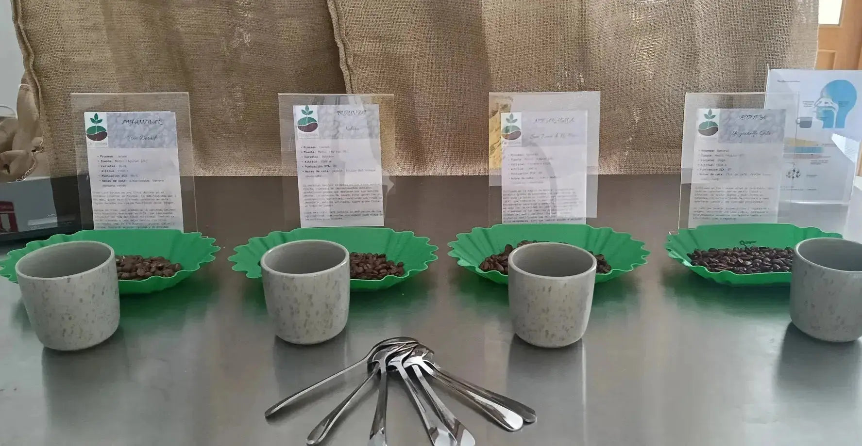 Presentación en PCI Pharma 4