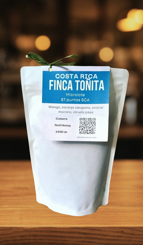 Principal Costa Rica FT