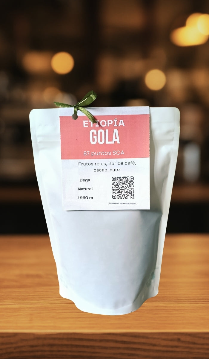 Principal Etiopía YG