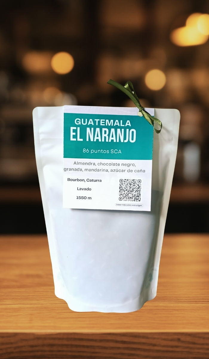 Principal Guatemala EN