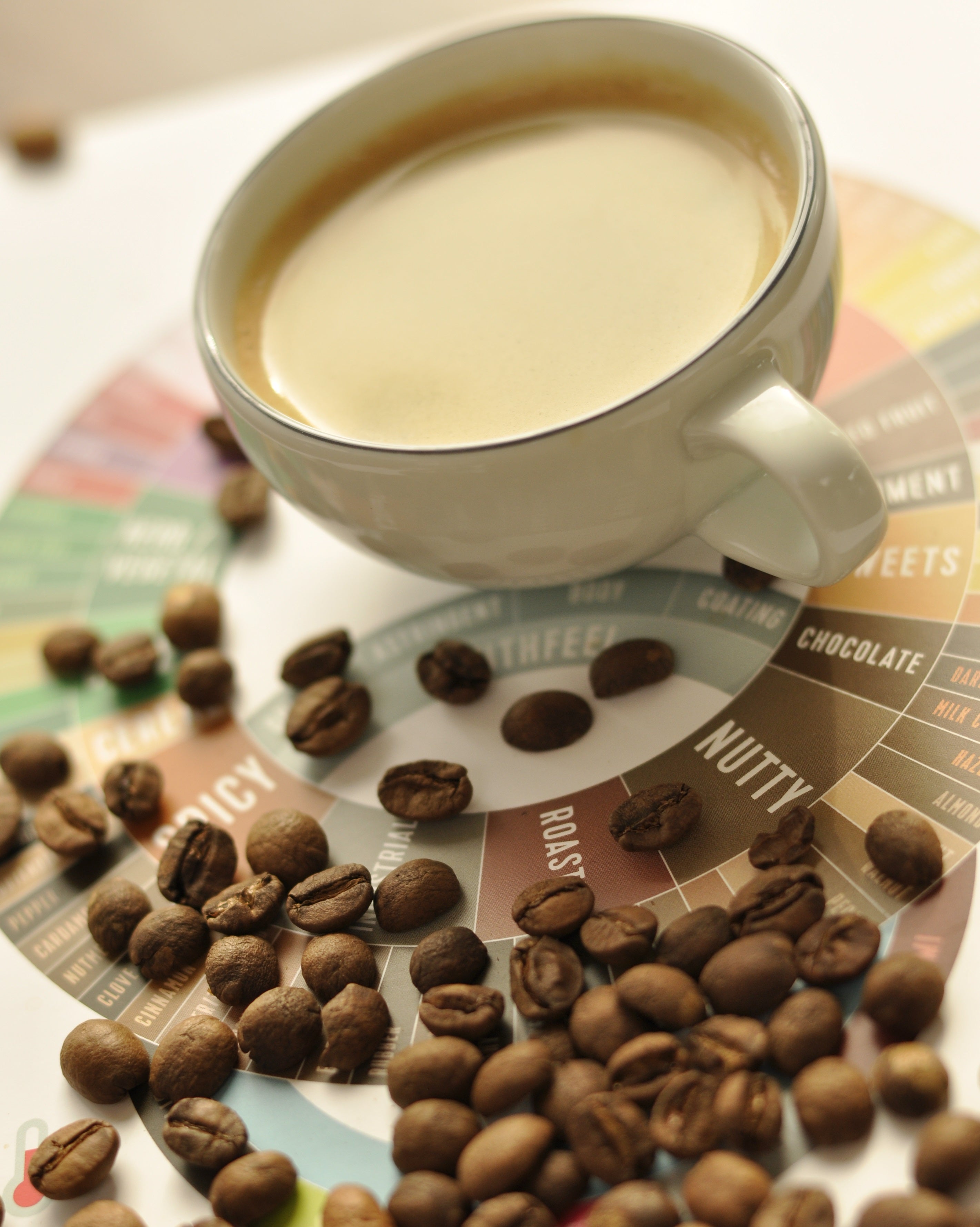 Rueda de sabores con taza