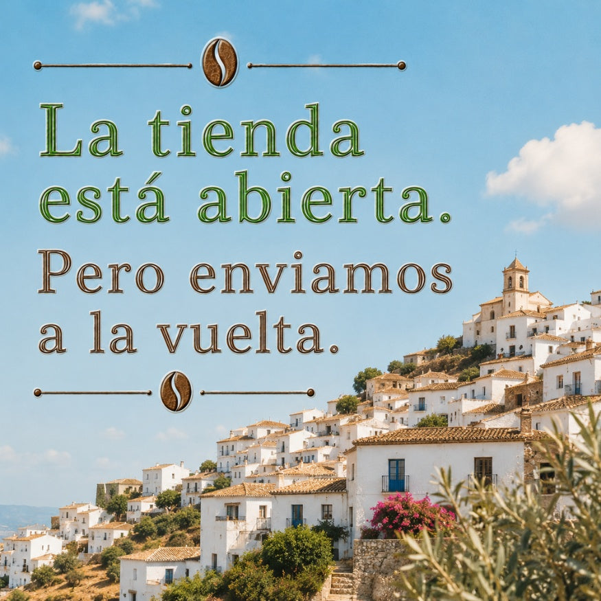 Foto vacacional con un pueblo de fondo