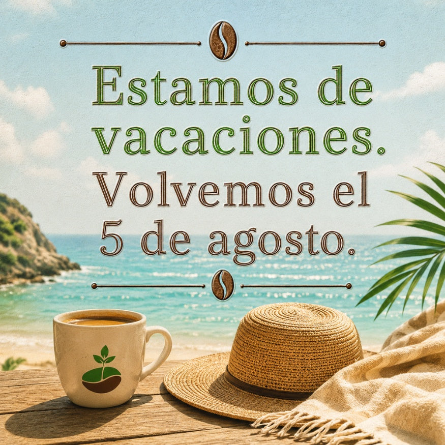 Foto vacacional con una playa de fondo