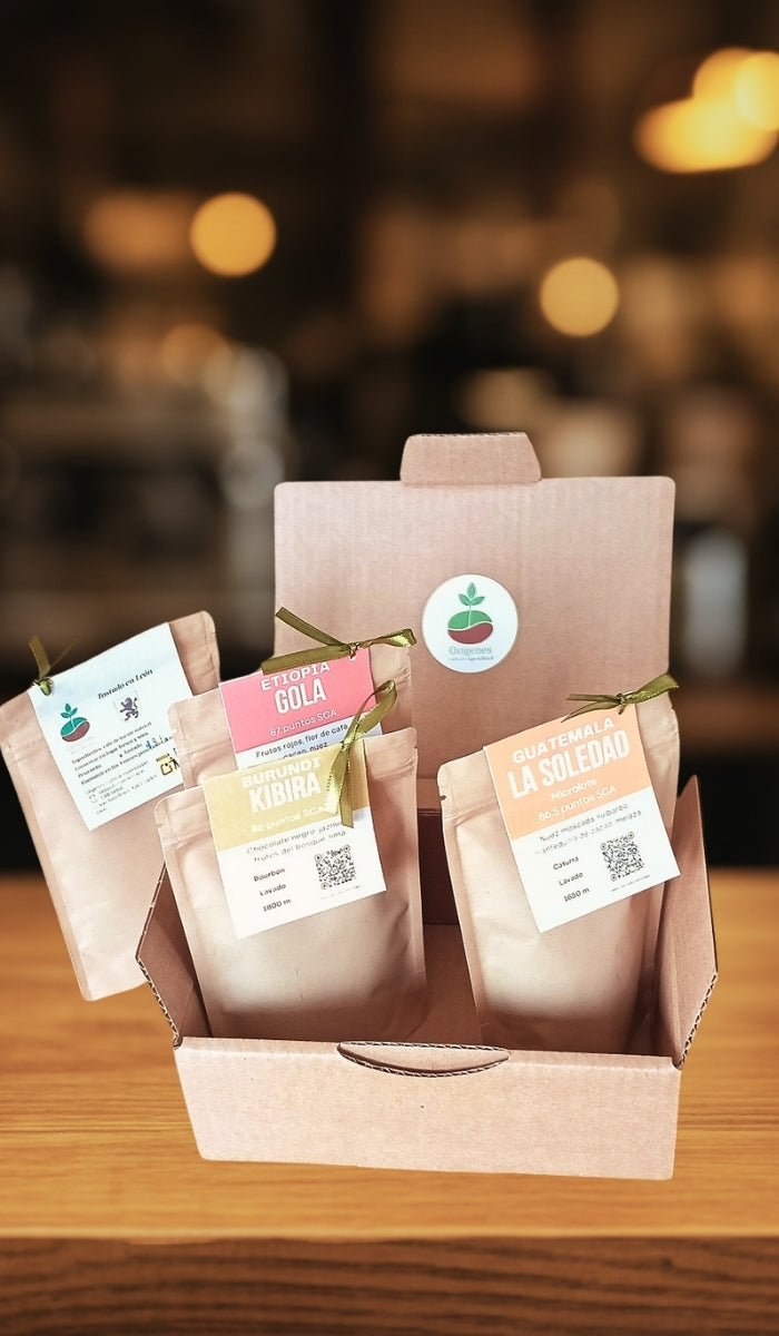 Pack café degustación | Café de especialidad 100% Arábica | Cuatro orígenes | Tueste natural artesanal