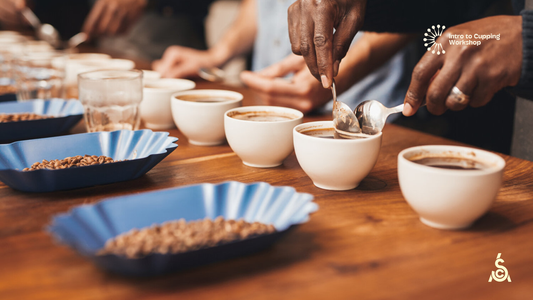 Taller de degustación (programa oficial SCA)