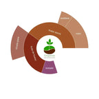 Rueda de sabores de Brasil Swiss Water