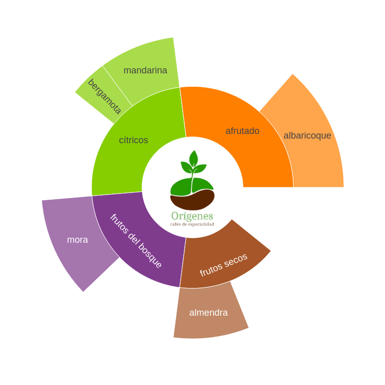 Rueda de sabores de Costa Rica Mujeres