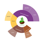Rueda de sabores de Etiopía Gola