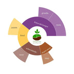 Rueda de sabores de Etiopía Gola