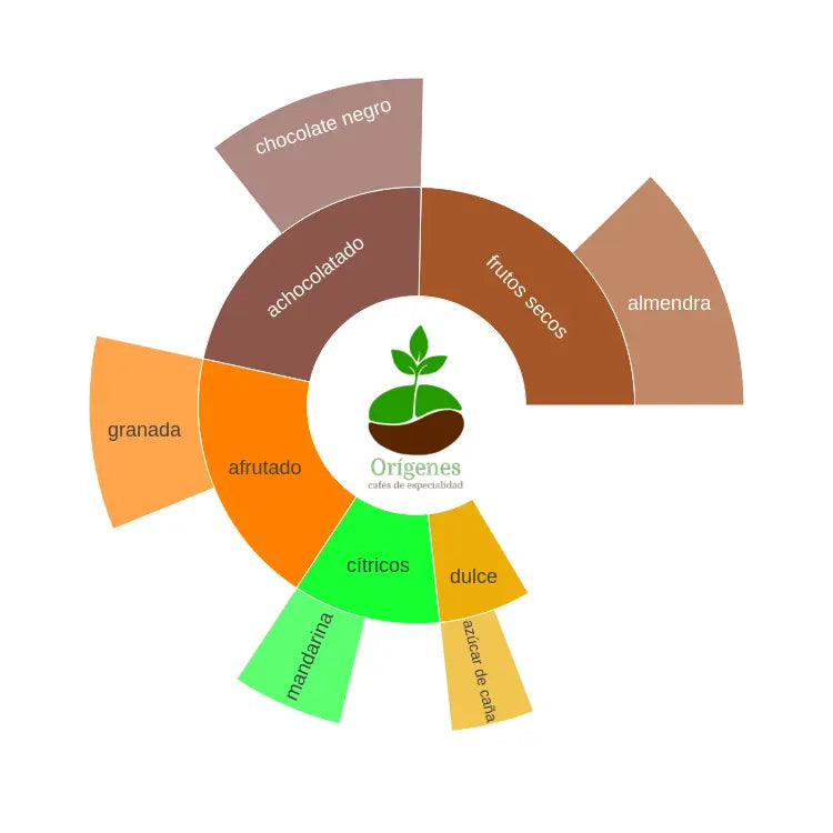 Rueda de sabores del café Guatemala El Naranjo