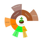 Rueda de sabores del café Guatemala El Naranjo