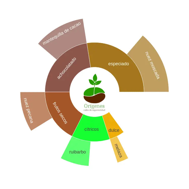Rueda de sabores del café Guatemala La Soledad