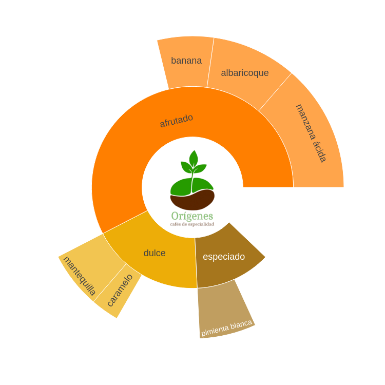 Rueda de sabores de Myanmar Pino Dorado