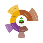 Rueda de sabores de Nicaragua San Juan