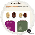 Fragmento del curso SCA Intro al Café