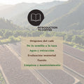 Portada del curso SCA Intro to Coffee