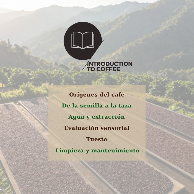 Portada del curso SCA Intro to Coffee
