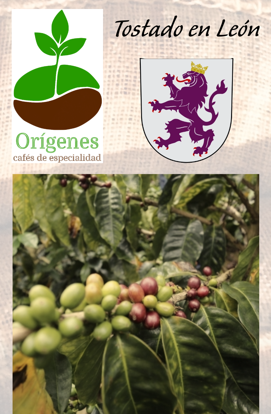 Etiqueta tostado en León